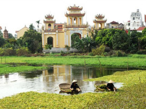 Wild Lotus Apartment 2