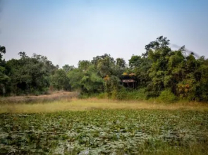 Tree House Hideway Bandhavgarh