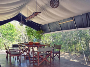 Yala Leopard Mobile Camp