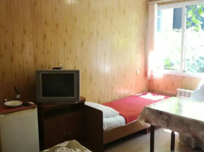 На Просвещения 88