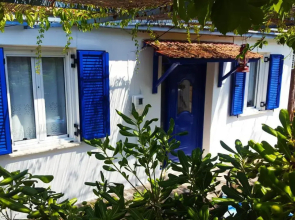 Blue White