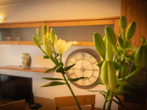 Fantástico apartamento de 1 habitación en El Pris