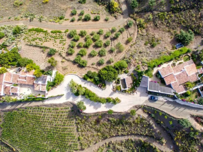 The Carligto Estate