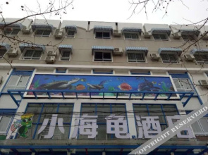 Turtle’s Hotel