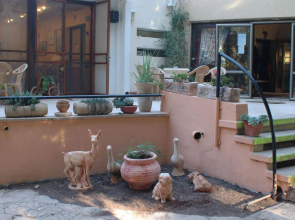 The Safed Inn