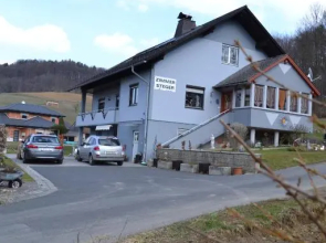Zimmer Steger