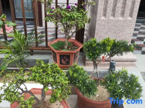 Meizhou Island Qingfeng Cottage Guesthouse (Lianchi'ao Beach Branch)