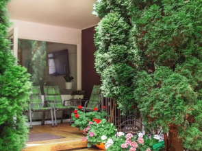 Apartment am Tannenweg