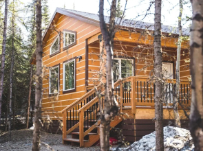 Denali Wild Stay