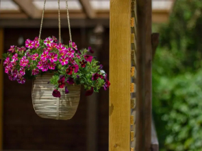 Rosenhill Bed & Breakfast