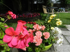 Serenity Bed and Breakfast