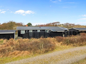 "Vasilij" - 500m from the sea in Western Jutland