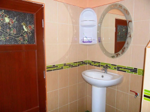 Saipali Jungle Views