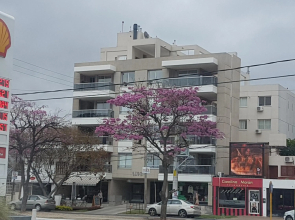 Apartamento Reyes Catolicos