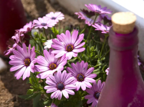 The Space Consists Of Living Room, Kitchen, 2 Bedrooms, 2 Big Independent Balcon