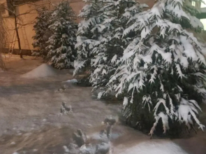 Nadmorskie Apartamenty