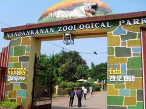 Private Studio Apartment With Wifi & Kitchen