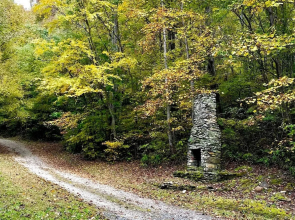 Wild Cat - 1 Br Cabin