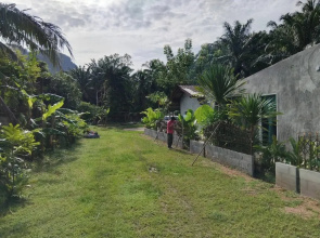 Greeneryhousekrabi52