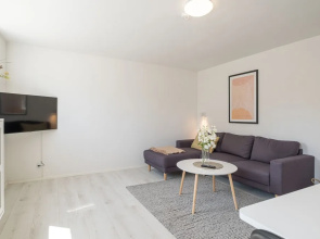 Newly Renovated 1-bed Apartment in Aalborg