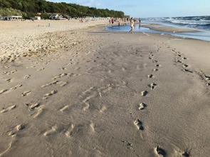 База отдыха Кусто