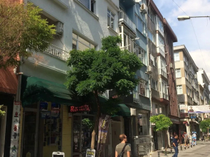 Zeytin Apart