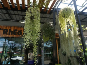 The Rhea