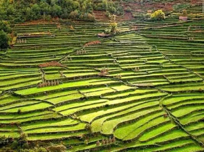 Férias de Sonho