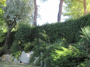 Villetta Parco Del Conero