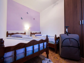 Victorious VIScovery Orange