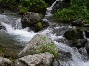 Garni-Hotel Wiesenhof
