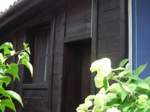 Darina Guest house