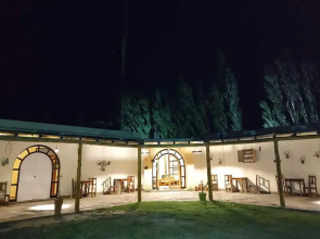 La Vicunita
