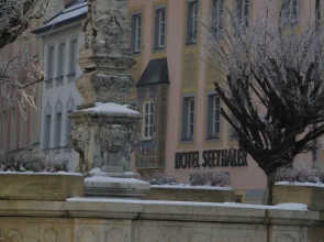Hotel- Restaurant Seethaler
