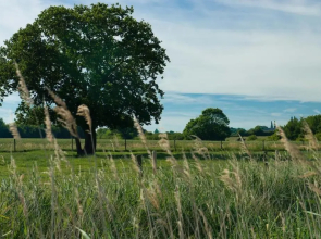 The Wobbin Remote Comfort Sea Views and the Beautiful Essex Marshes