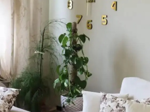 Kron s Apartment in Shkod r