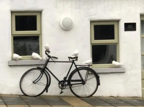 The Carriage Houses at Beechpark House