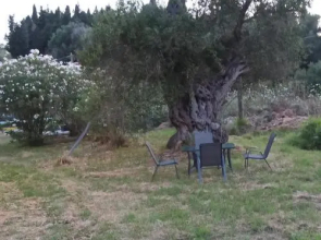 magicstay - aparthotel 4 stars kavos