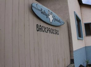 Salty Jackal Surf Camp