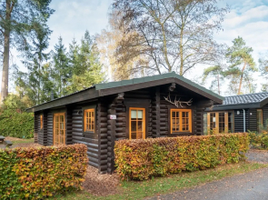 Wooden Chalet with Dishwasher near De Veluwe National Park