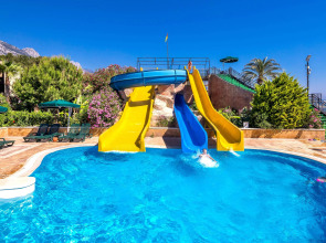 Gypsophila Club Marine