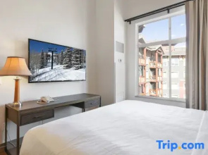 Ski in/out at Westgate, Remodeled 1br, Resort amenities, Mutiple Pools, Spa and Restaurant 4803A