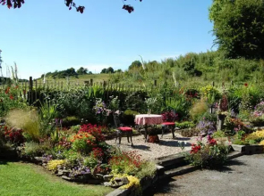 Tinnycross House B&B
