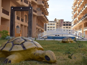 Tur-resort rooms