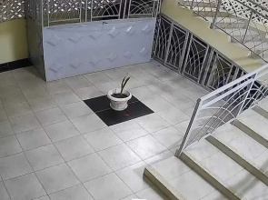 Luckybee Apartments