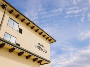 Hotel Indigo Spring - Woodlands Area by IHG