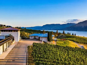 The Inn at Therapy Vineyards