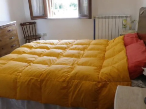 CANELLA