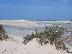 Un p'tit nid au Paradis
