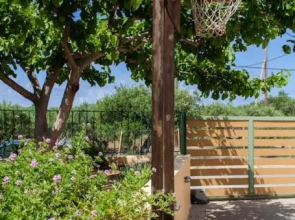 Olive grove with sea view, 20' walk to the beach